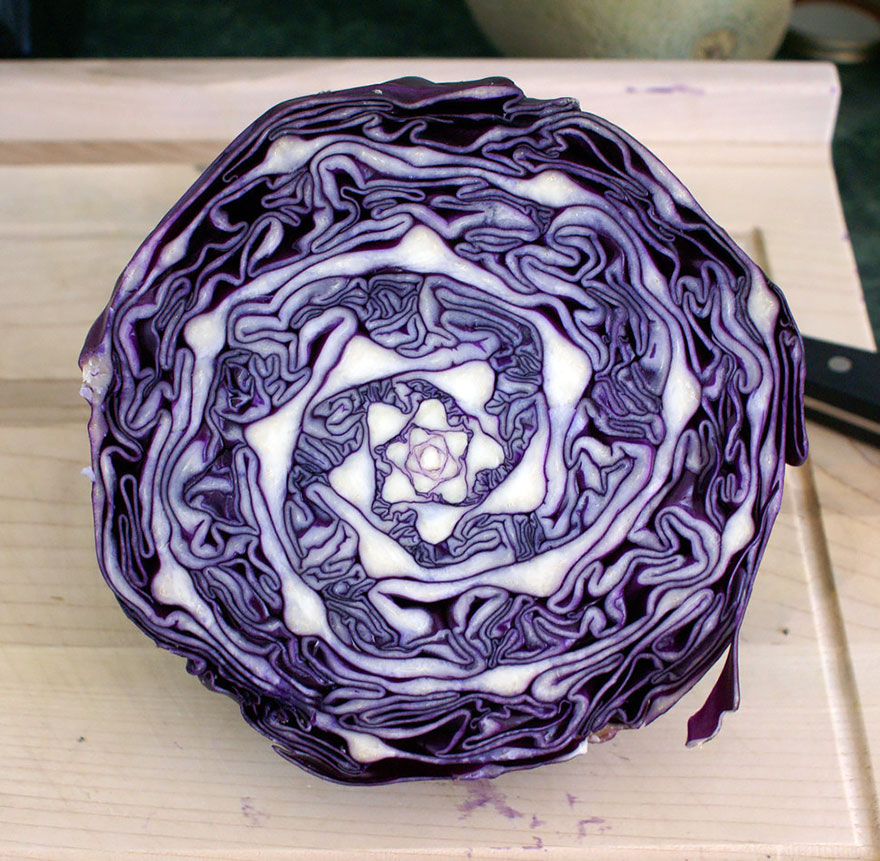 SacredGeometry_FractalCabbage