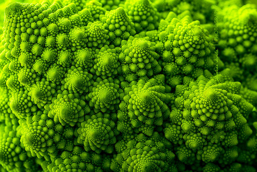 SacredGeometry_Romanesco Broccoli