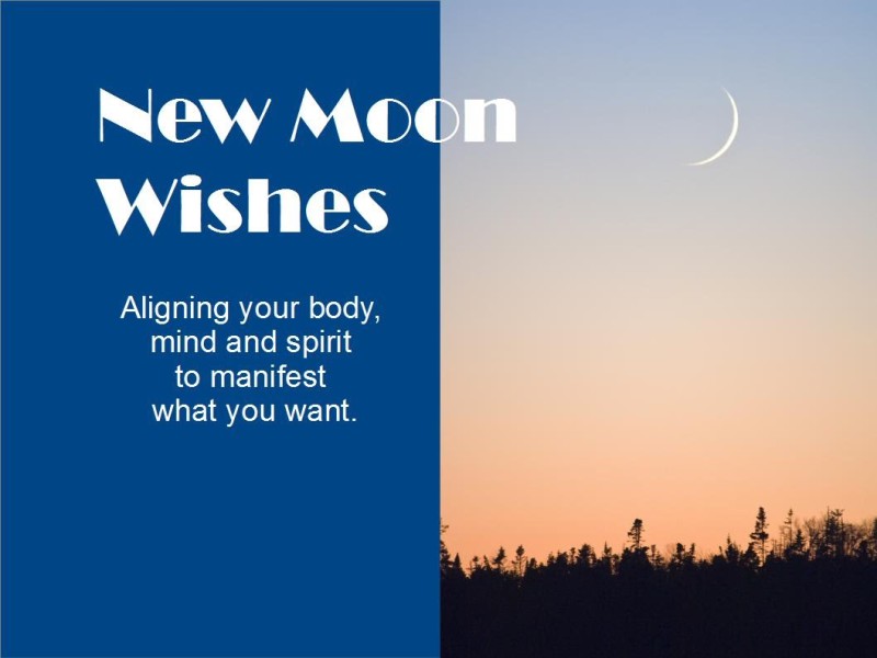 moonwishes