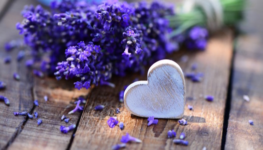 Healing and Loving Life With Aromatherapy – Lavender