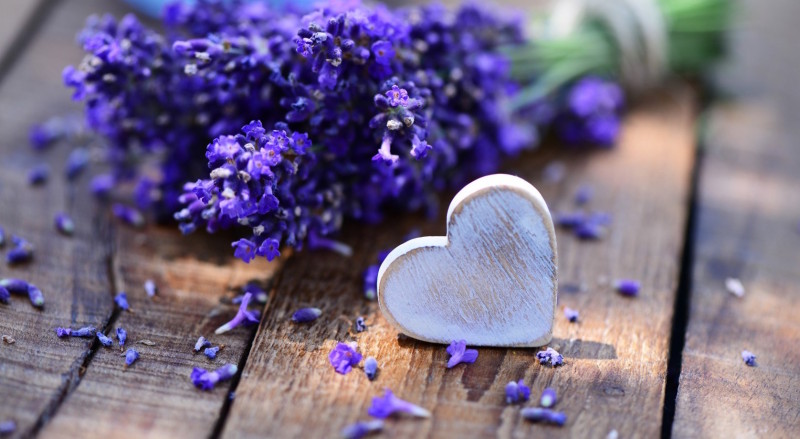 lavender bouquet
