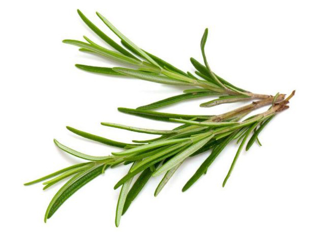 Everything_Soulful_Mood_Enhanging_Herbs_rosemary