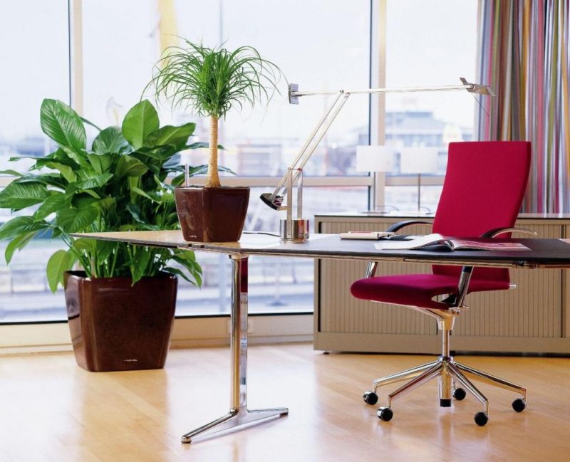 everything_soulful_office_plants_6