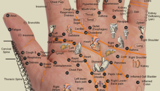 Healing Your Body Through Your Hands: Acupressure Points