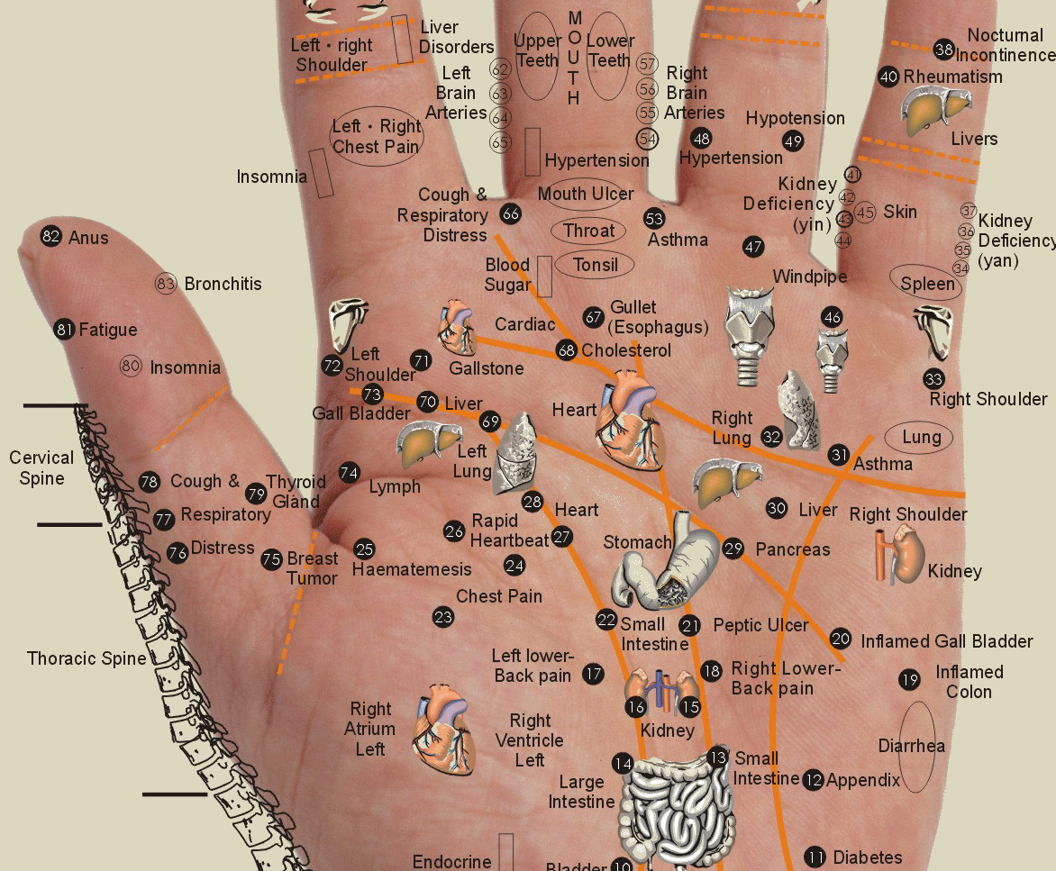 Healing Your Body Through Your Hands: Acupressure Points ...