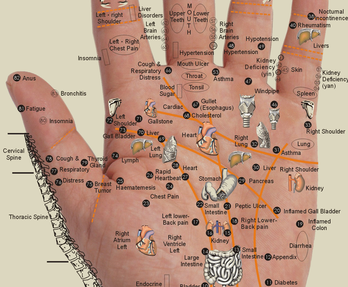 Hand Acupuncture Points Chart 