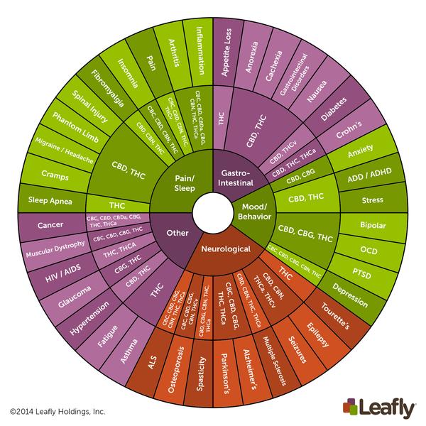 everything_soulful_Cannabinoid-Wheel