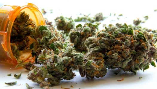 Enlightening Marijuana Medicine Facts