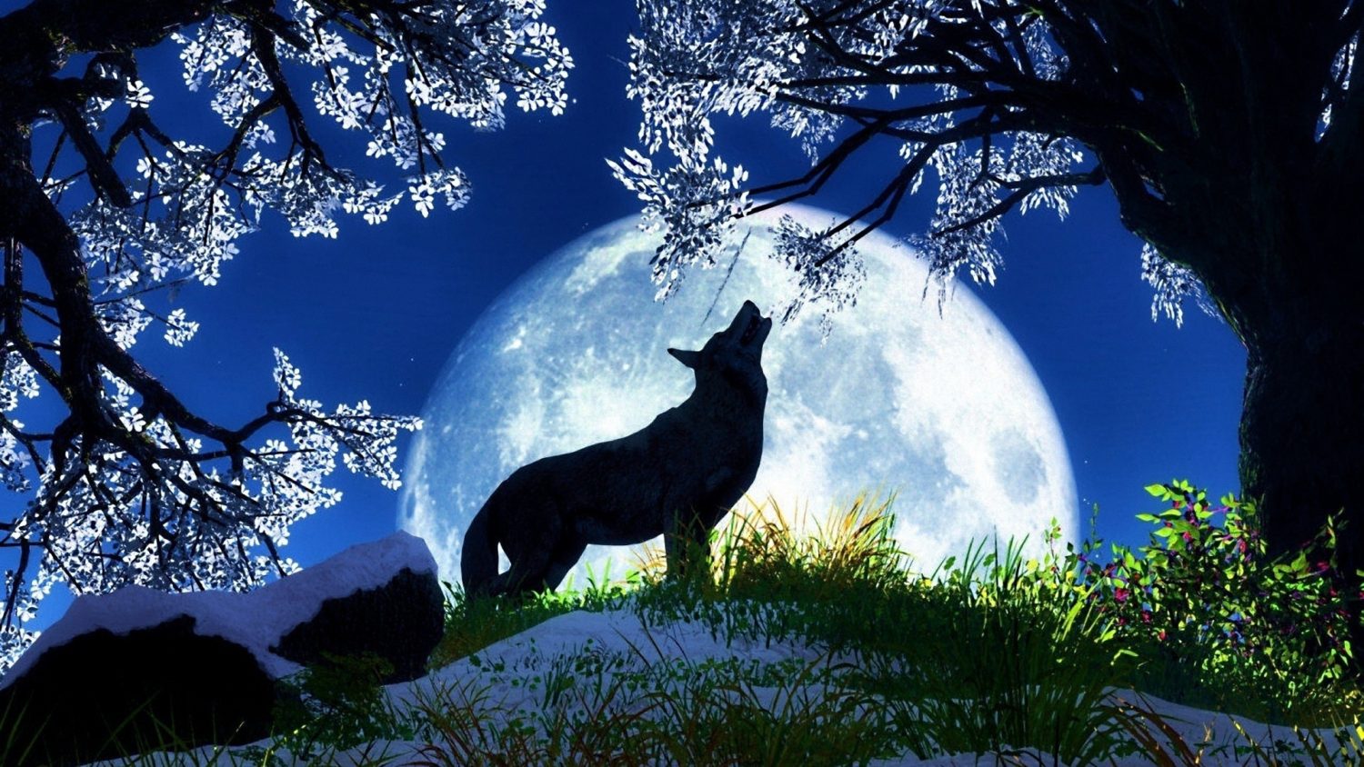 symbolism-of-january-s-wolf-full-moon-everything-soulful