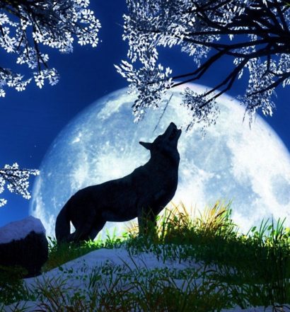 everything_soulful_wolf_moon