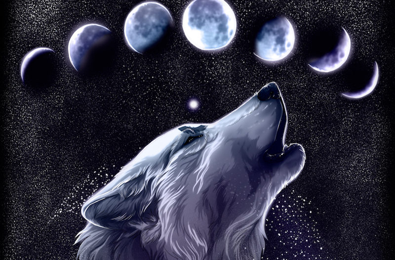 Symbolism of January’s Wolf Full Moon EVERYTHiNG SOULFuL