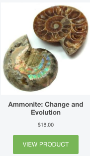 Everything_Soulful_Ammonite_buy_button_ammonite