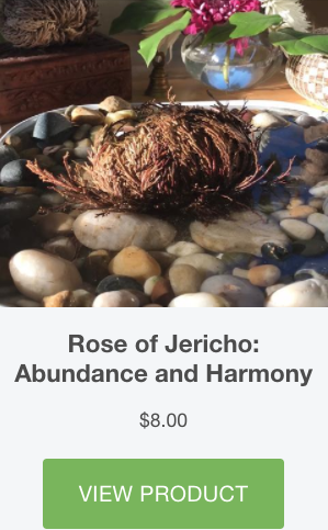 everything_soulful_Rose_of_Jericho_buy_button