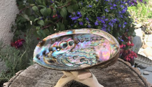 Abalone Shell: Heavenly Ocean Energy