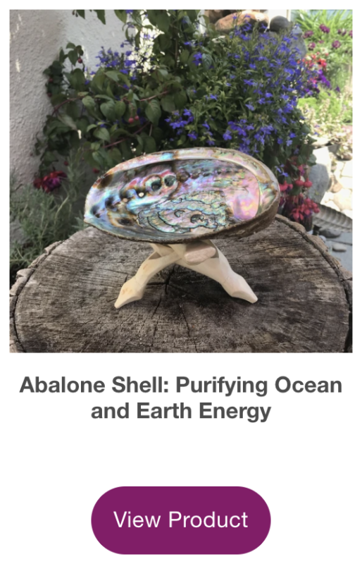 everything_soulful_abalone_shell_buy_button